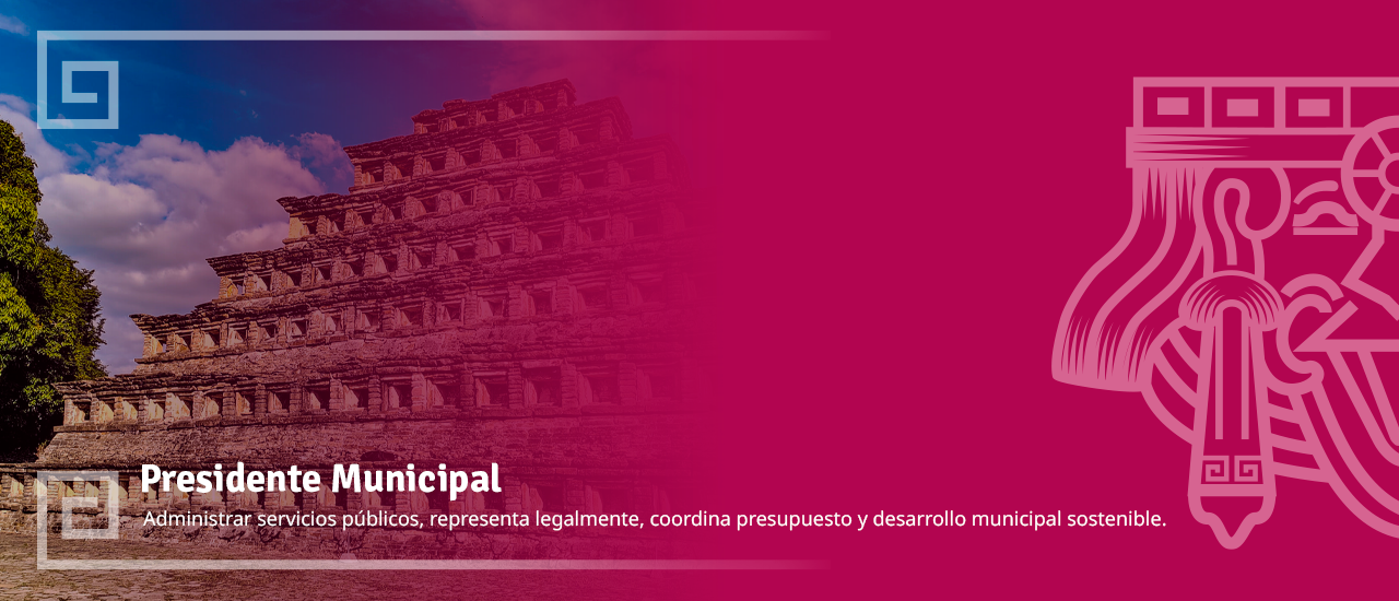 Banner Presidente Municipal