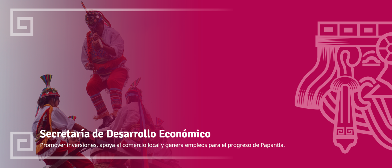 Banner SEDECO Papantla